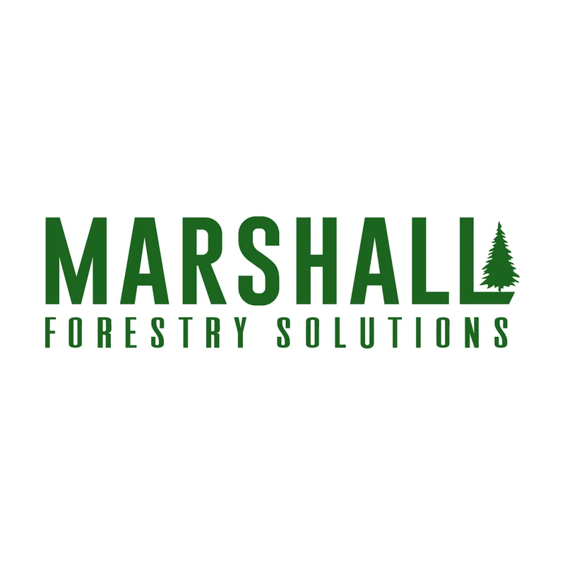 Screenshot to clean wordmark after hand vectorizing